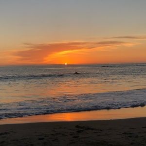 Meet your Posher, Katrina